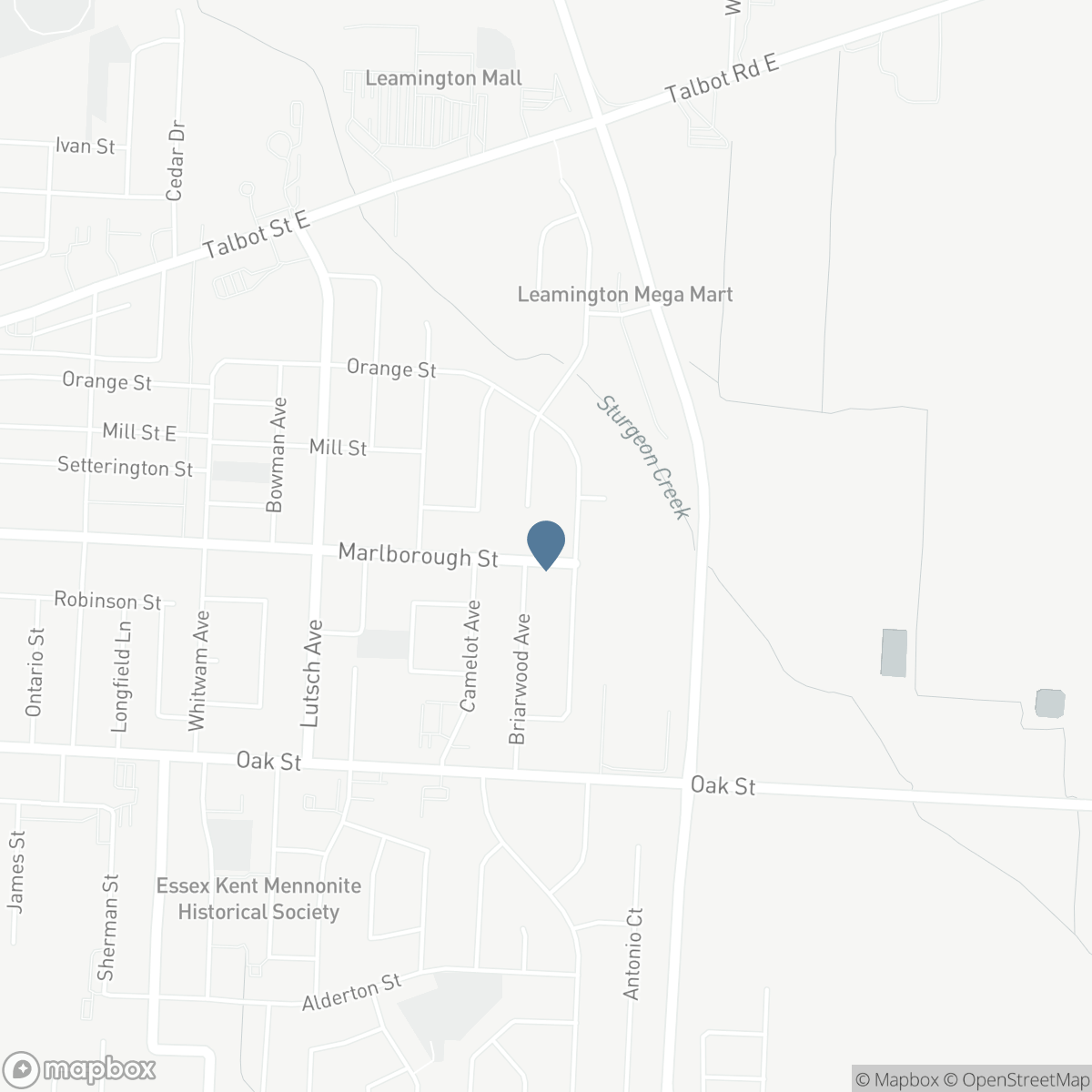 185 Marlborough STREET East, Leamington, Ontario N8H 4S2